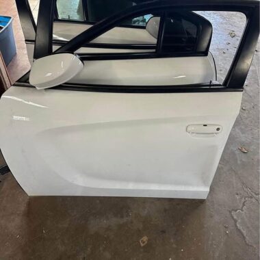 Dodge Charger doors